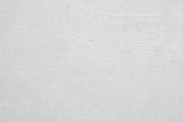 Best Mold Remediation for Healthcare Facilities  in West Terre Haute, IN