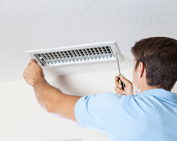 Best Attic Mold Removal  in West Terre Haute, IN