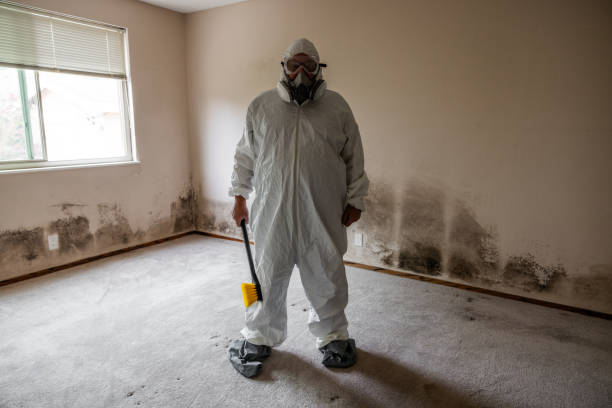 Best Industrial Mold Remediation  in West Terre Haute, IN